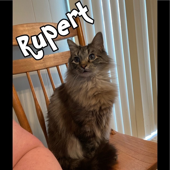 โจBookmark my closetโจ - Picture 6 of 11